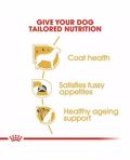 ROYAL CANIN XIRA TROFI SKuLOu ADULT YORKSHIRE 3KG